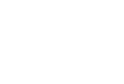 PAHI USA about page logo
