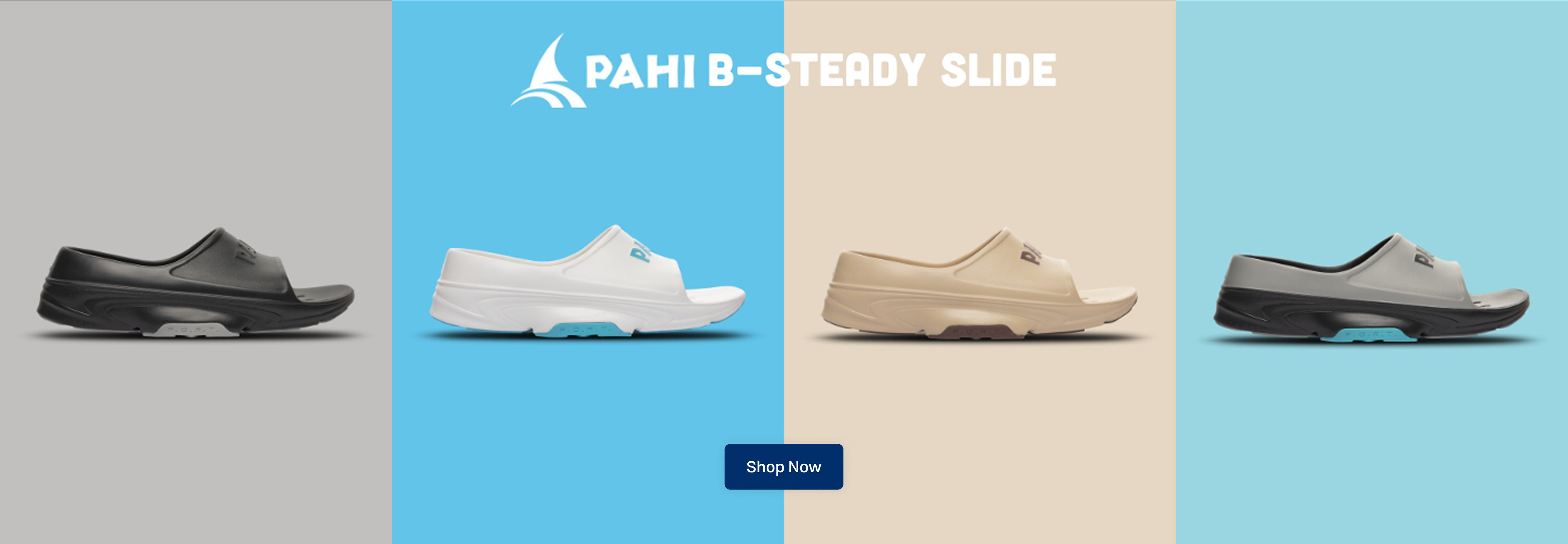 Pahi B-Steady Slide Banner